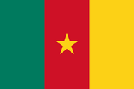 Официальный флаг государтсва Камерун