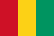 Официальный флаг государтсва Гвинея
