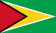 Официальный флаг государтсва Гайана