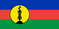 Официальный флаг государтсва Новая Каледония