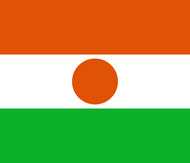 Официальный флаг государтсва Нигер