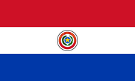 Официальный флаг государтсва Парагвай