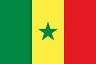 Официальный флаг государтсва Сенегал
