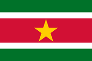 Официальный флаг государтсва Суринам