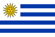 Официальный флаг государтсва Уругвай