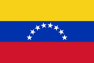 Официальный флаг государтсва Венесуэла