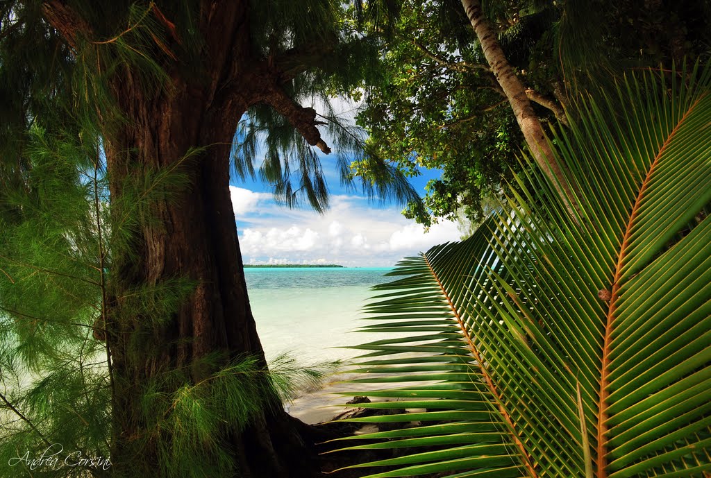 Острова Яп, Федеративные Штаты Микронезии.