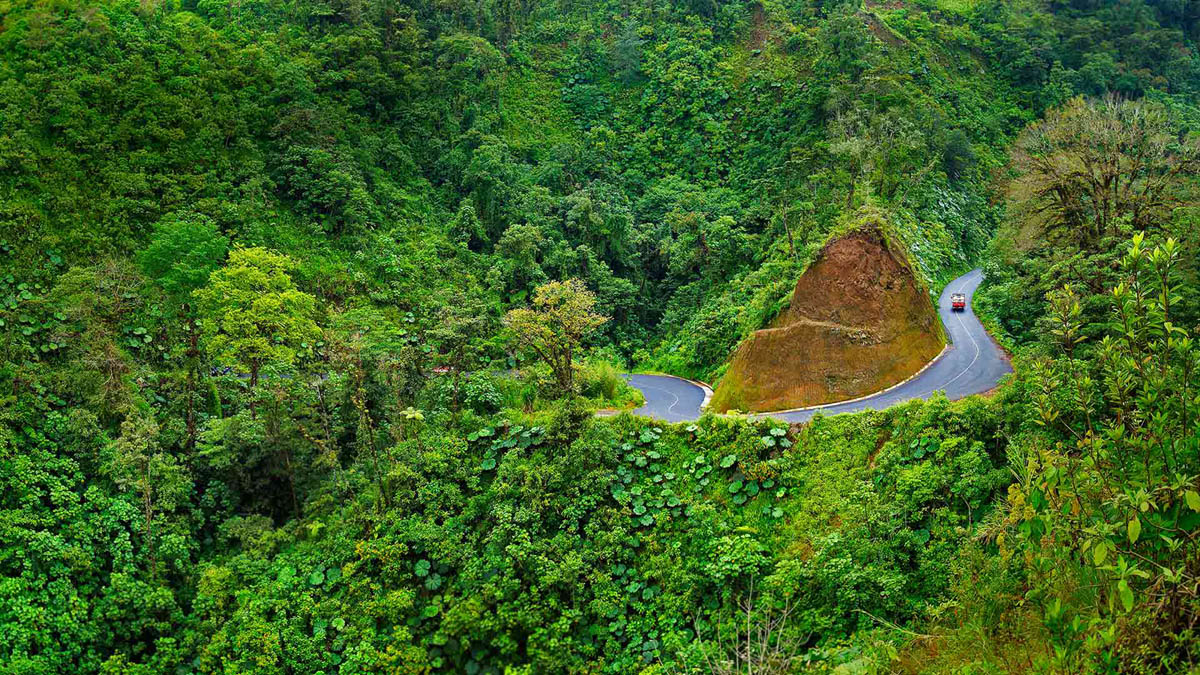 Одно из многих ответвлений Панамериканского шоссе. Национальный парк Волкан Ареналь (Parque Nacional Volcán Arenal), шоссе №142, Коста-Рика.